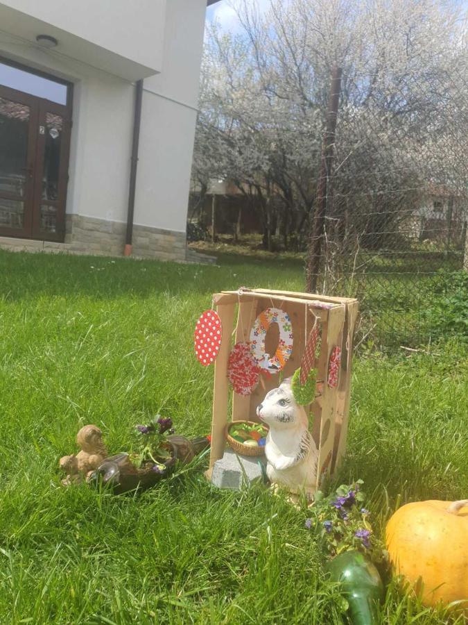Бадевски Рай- Къща София Veliko Tarnovo Exterior foto
